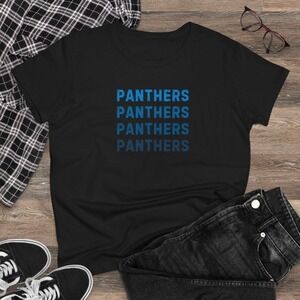 Carolina Panthers Womens Distressed Ombre Black Football Style T-Shirt